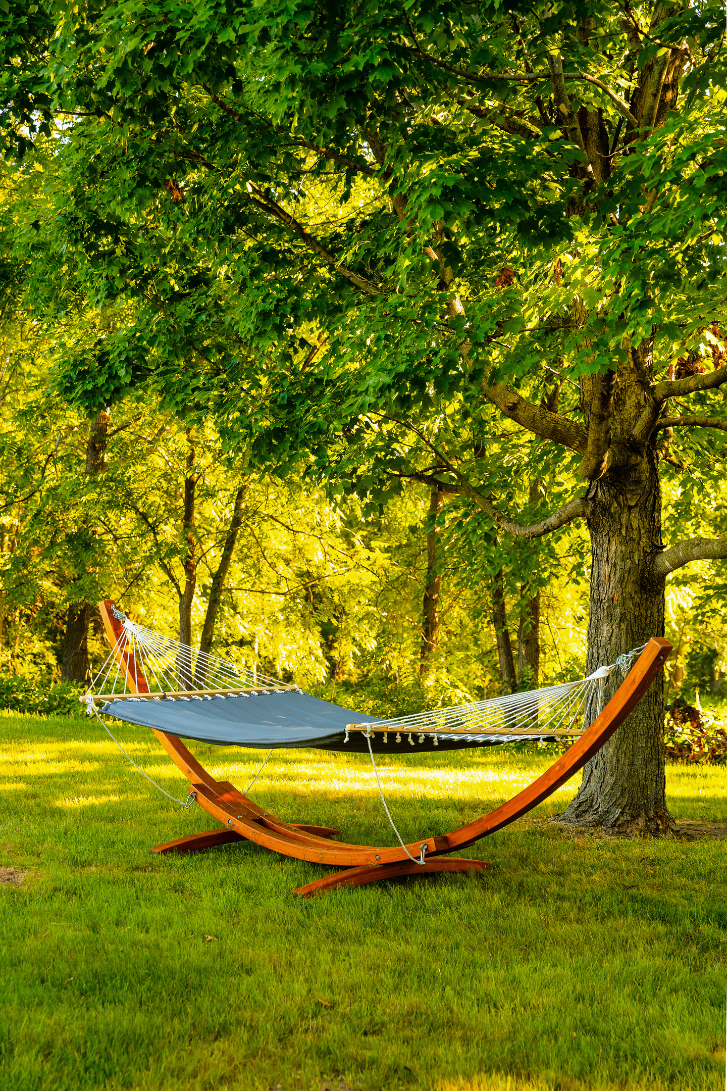 Slumber in shaded tranquility :)