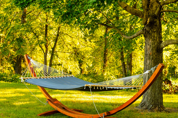 Slumber in shaded tranquility :)