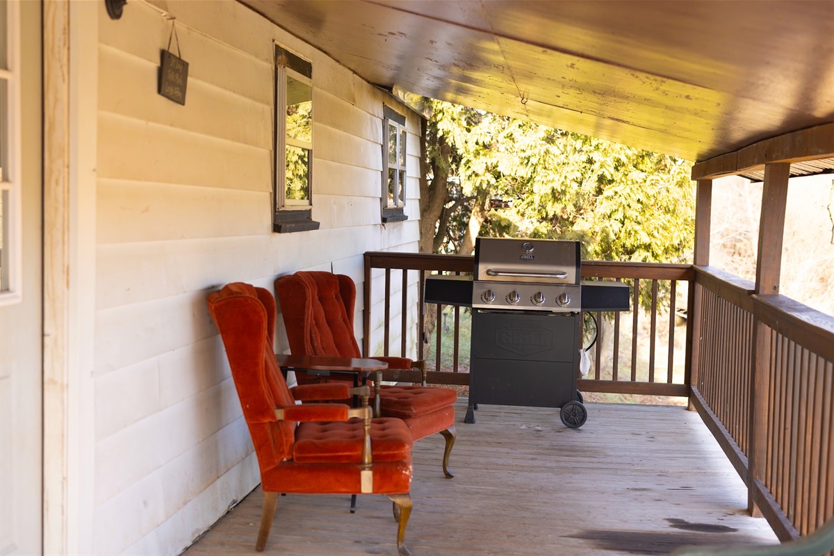 Covered back porch, overlooking fields and mountains