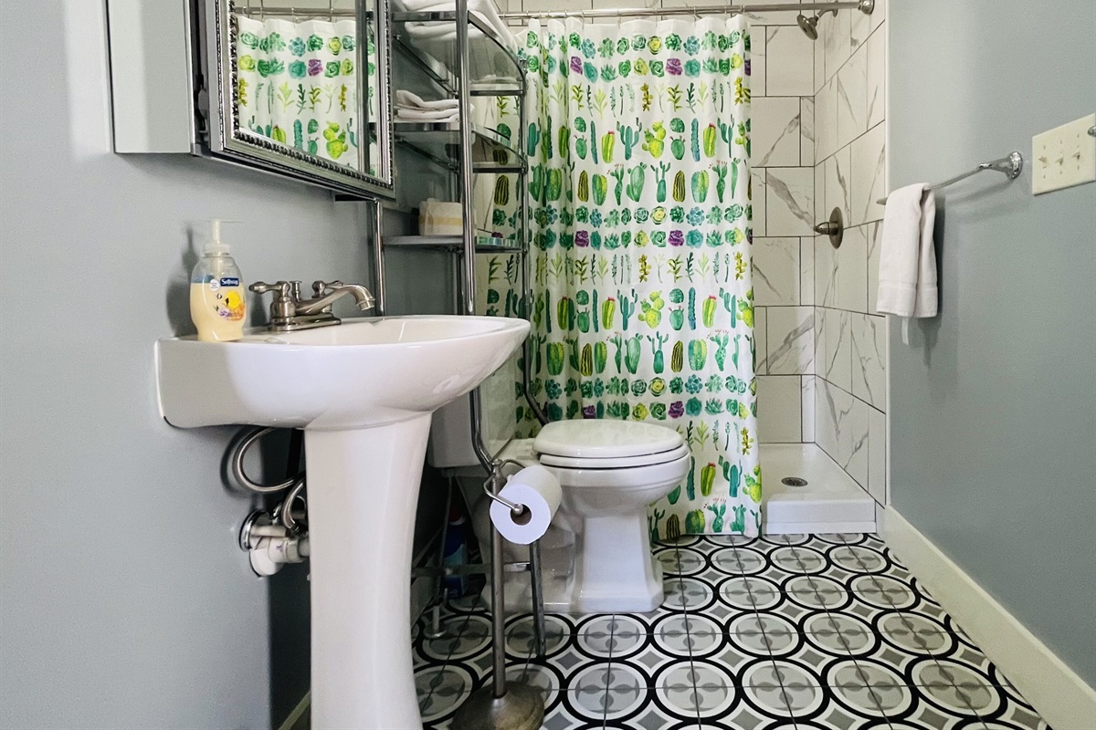 Downstairs bathroom with walk in shower