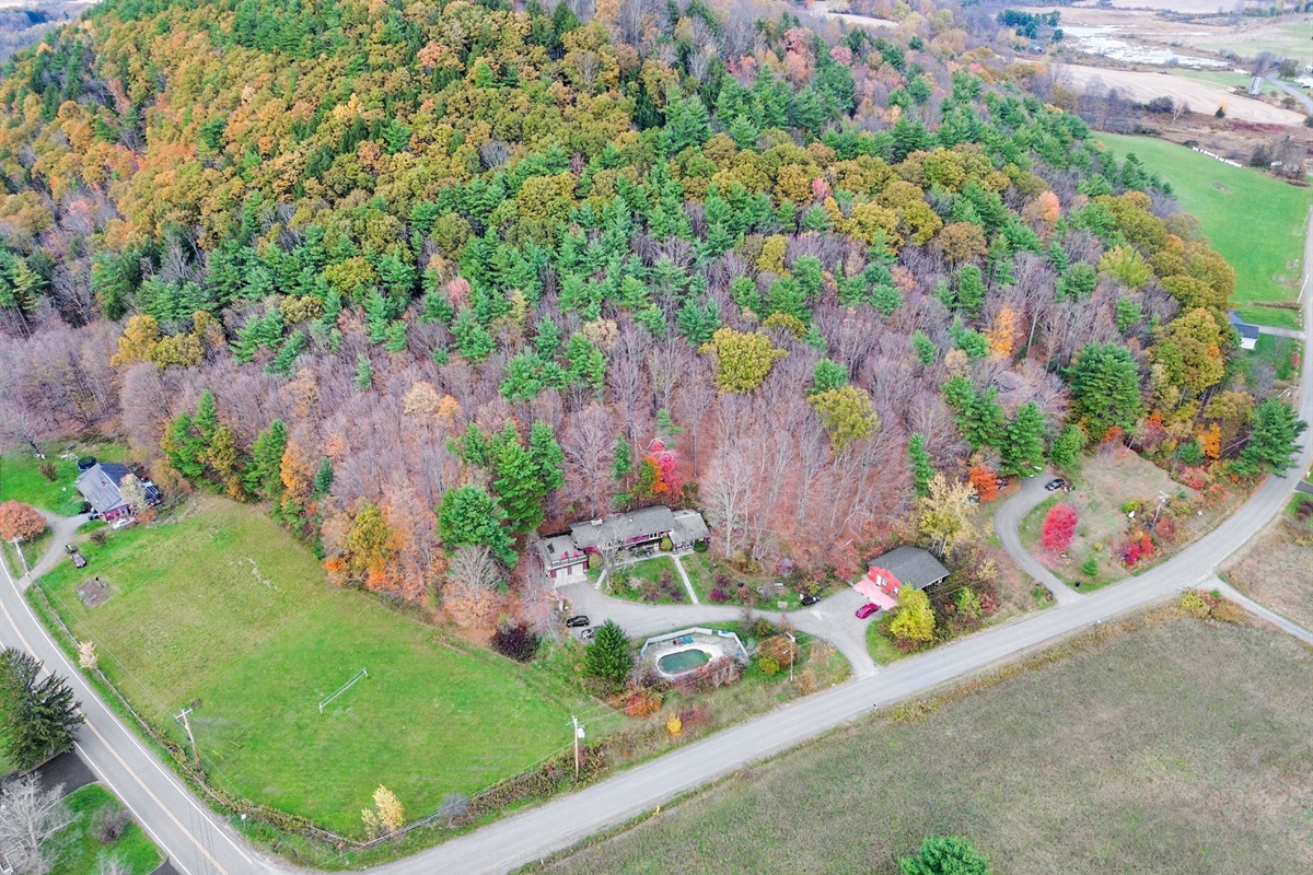 House - has yard and wooded area 