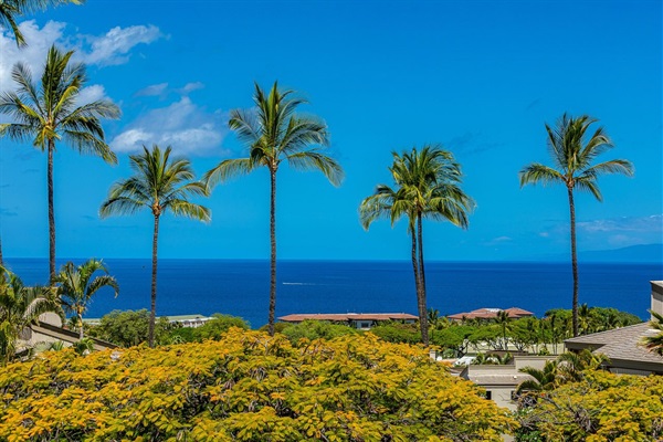 View from Master bedroom Private lanai 180 degrees Ocean view - Ekolu 607  