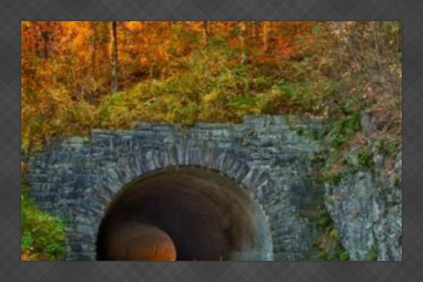 🌄 Take the road less traveled… or just the most beautiful one! The Blue Ridge Parkway offers breathtaking views, winding roads, and endless photo ops. 🚗✨