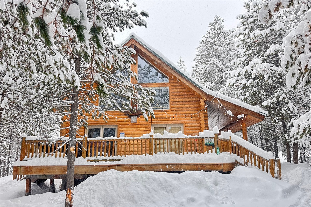 Come play in the snow 2/2026
