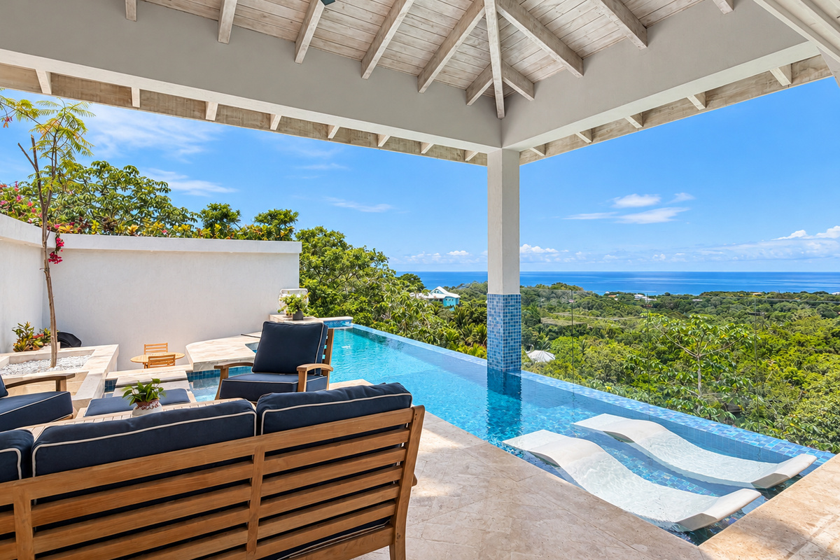 Patio and pool area