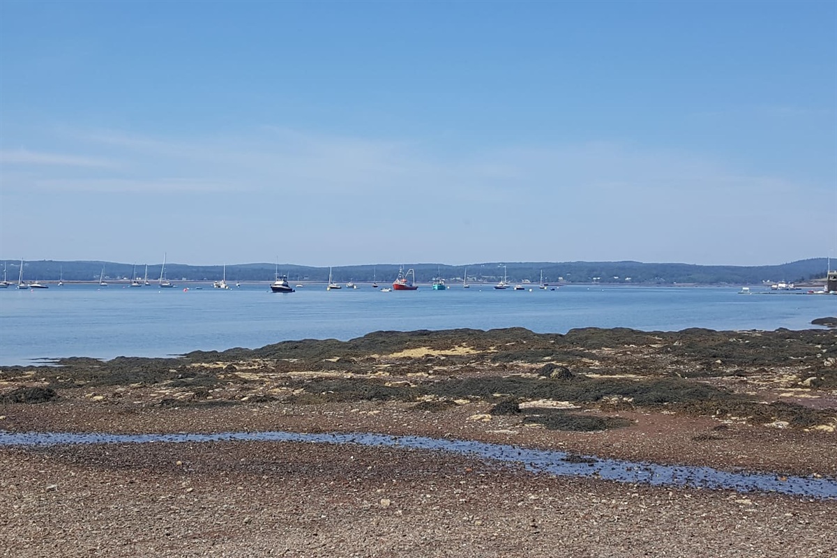 Beach view