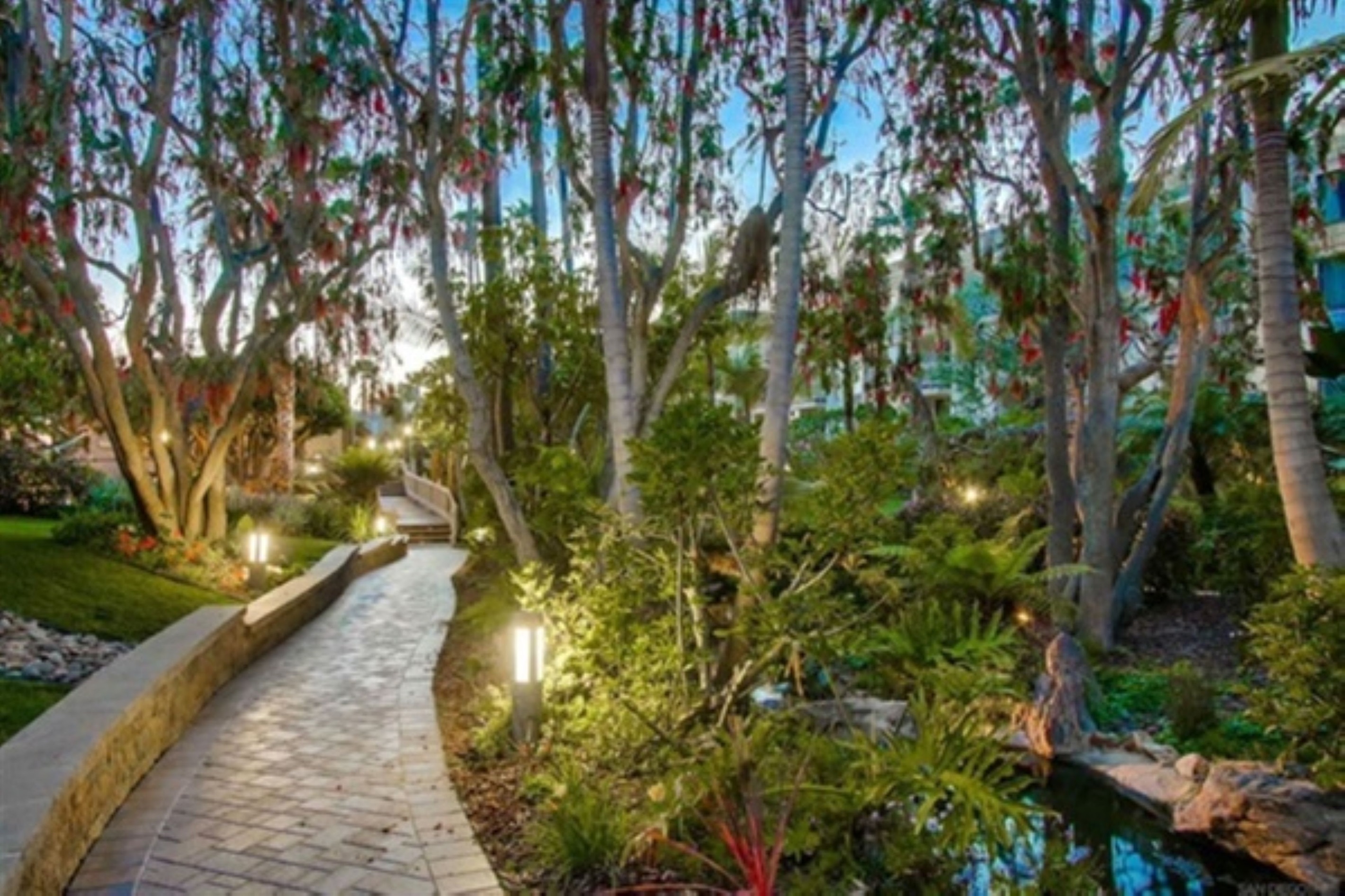 Colorful trees and tropical landscaping
