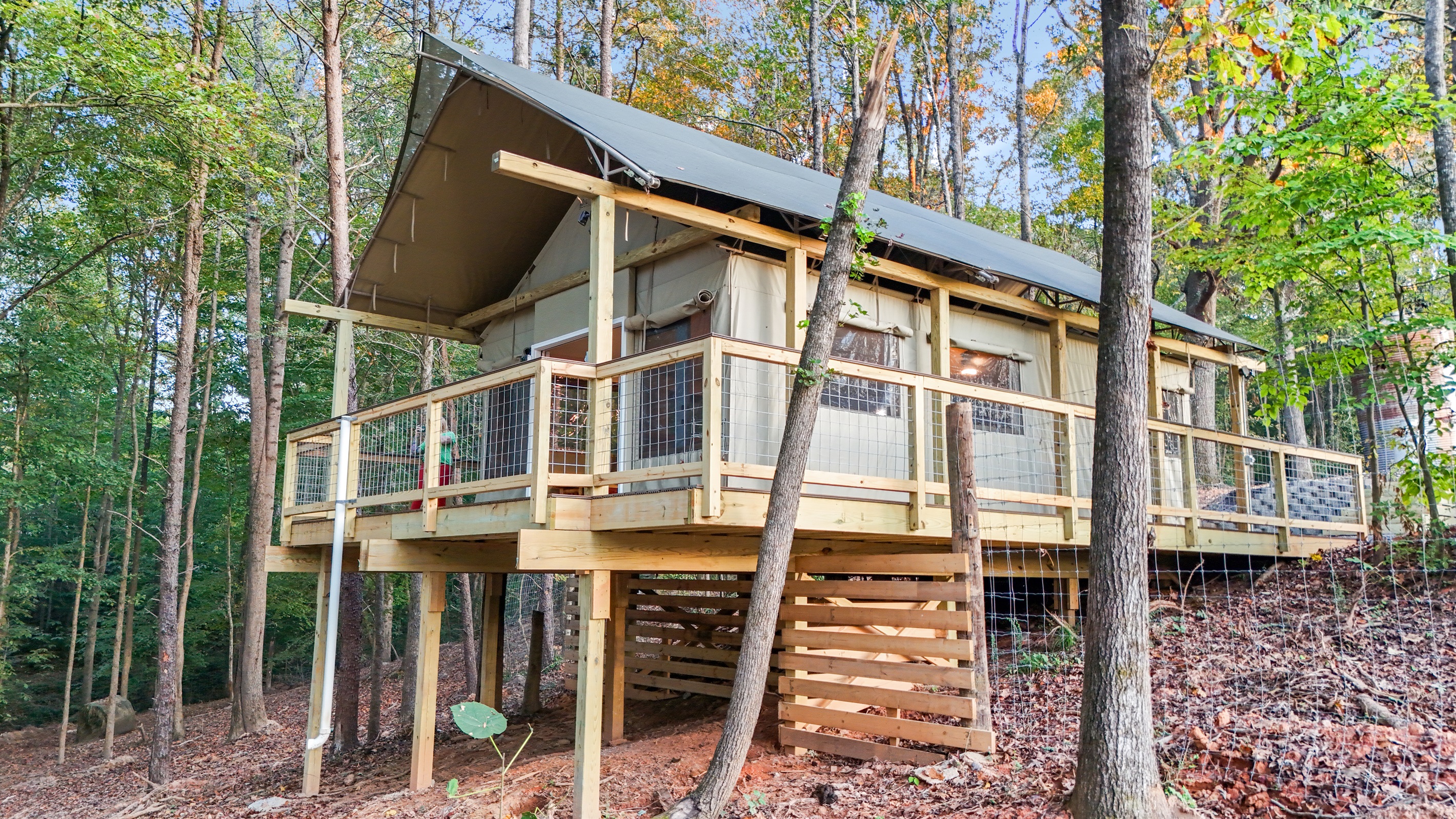 Elevated retreat surrounded by nature, perfect for adventure and relaxation!