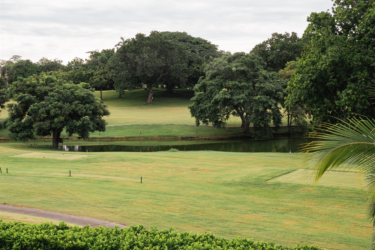 Golf Course