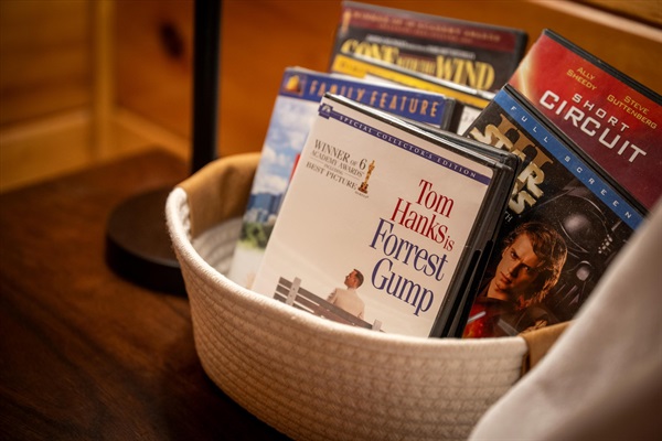 Movie night, made easy! DVDs, Roku TV, and cozy seating await downstairs