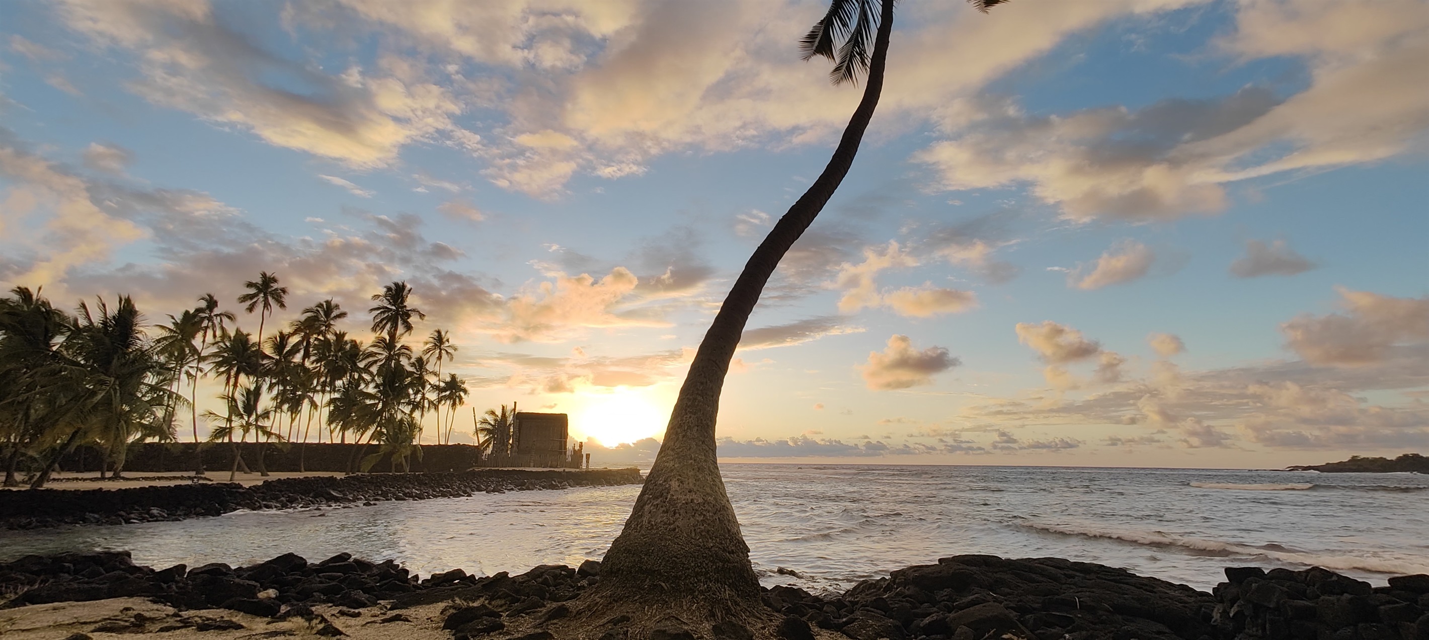 Drive 25 mins drive south to magical Two-Step beach and ocassionally see a giant turtle.