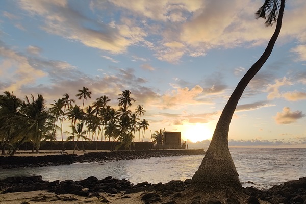 Drive 25 mins drive south to magical Two-Step beach and ocassionally see a giant turtle.