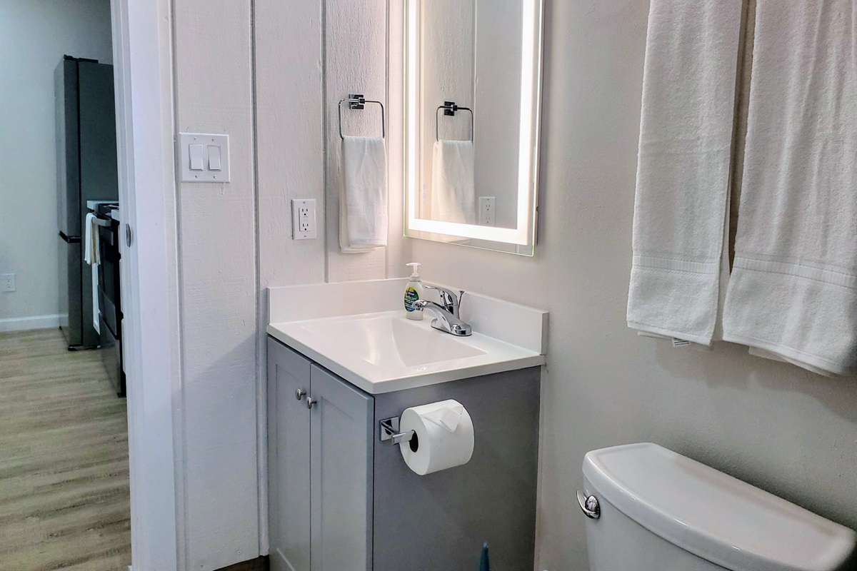 Perfect bathroom with light up mirror