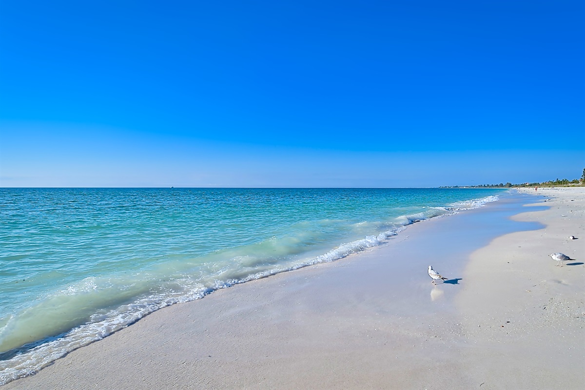 Siesta Beach