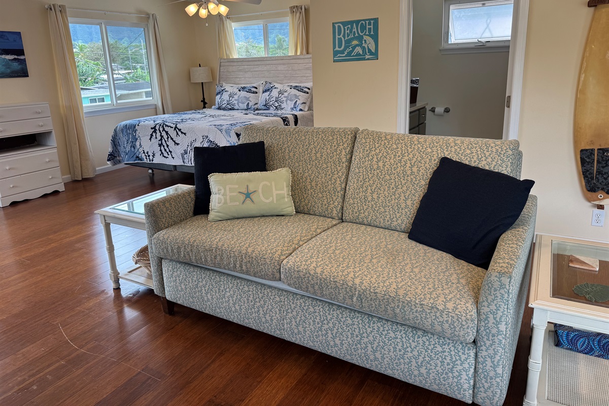 Couch with a pull out bed