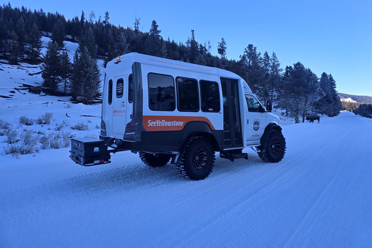 Snowcoach tours bring Yellowstone’s winter beauty to life, from steaming geysers to frozen waterfalls. Enjoy the comfort of a heated ride while someone else drives, giving you time to watch wildlife, take photos, and simply enjoy the snowy landscape.