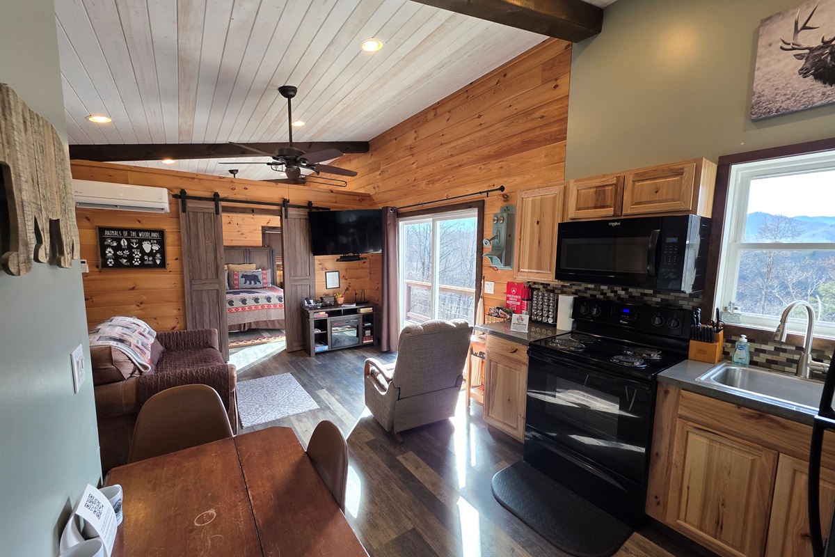 Kitchen and living room
