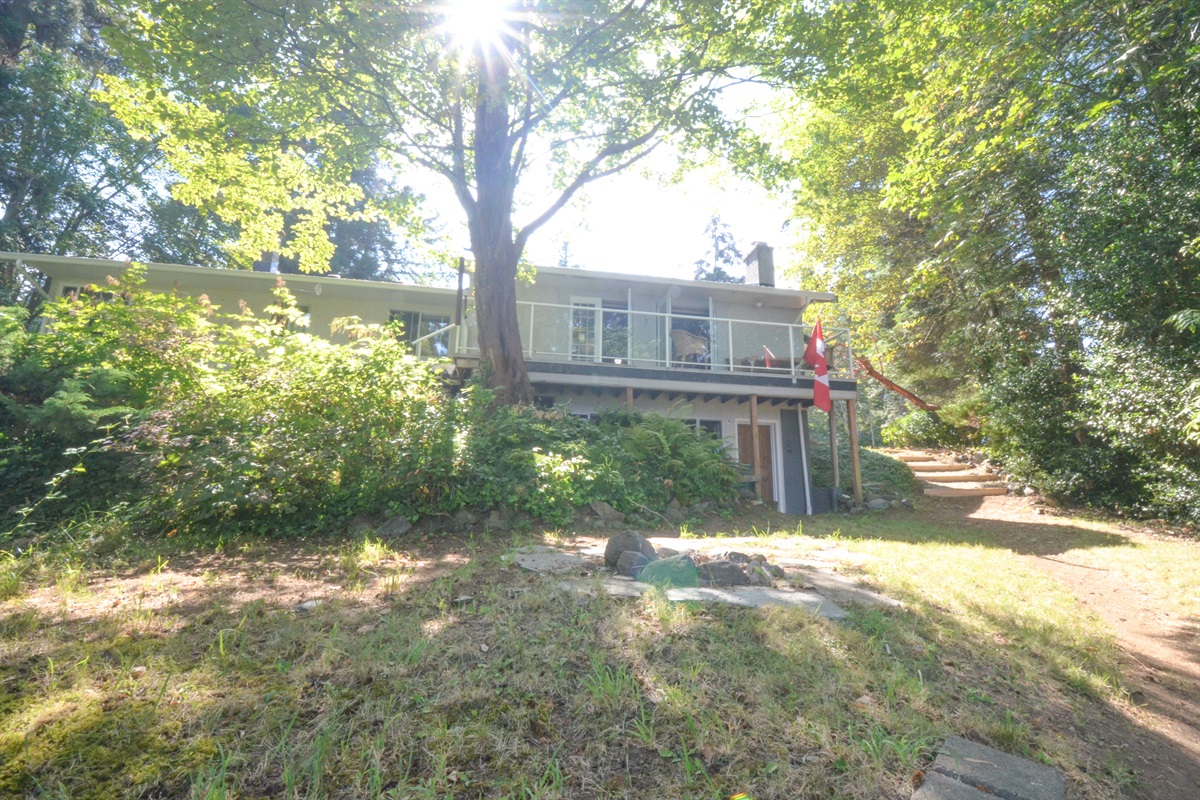 Back porch view with elevated yard above shoreline