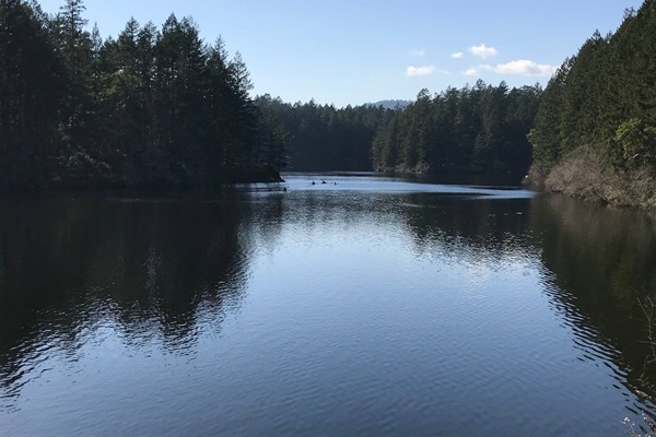 One of the many breathtaking vistas to enjoy along the Thetis Lake trail