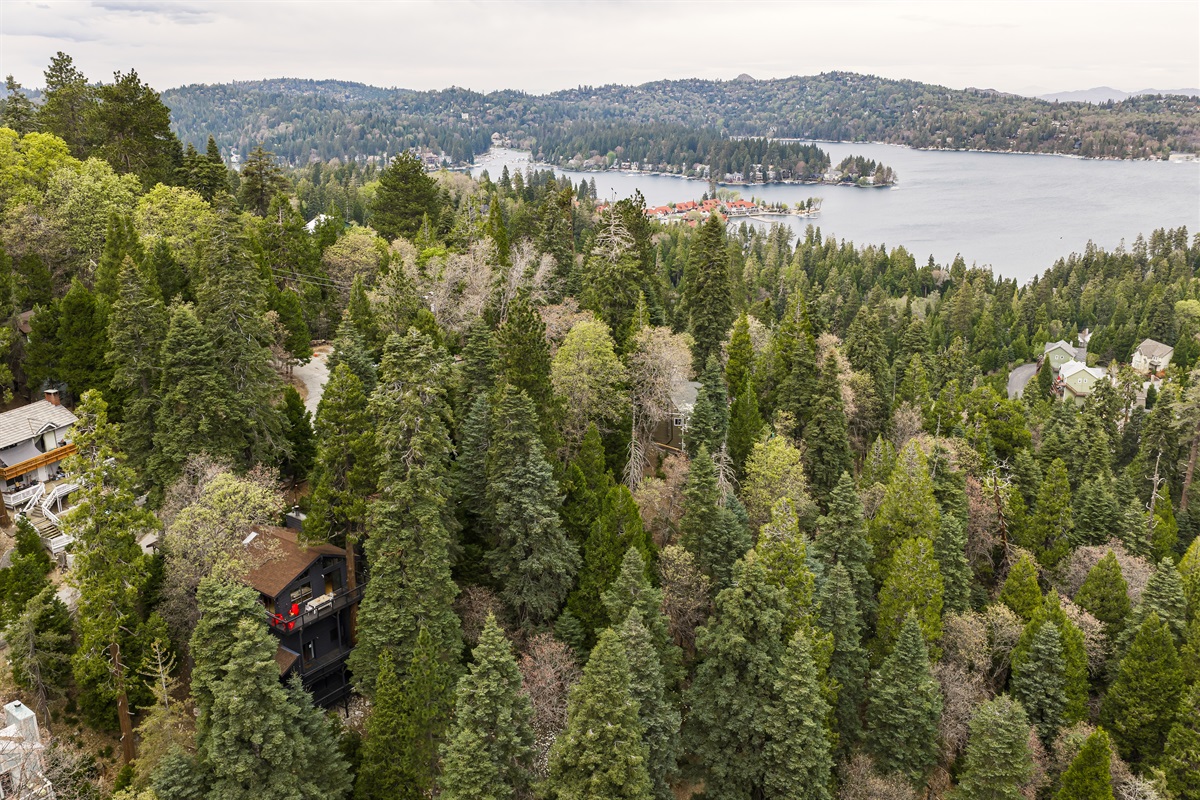 Stunning aerial view showcasing the cabin nestled among towering pines, with Lake Arrowhead Village just 5 minutes away.