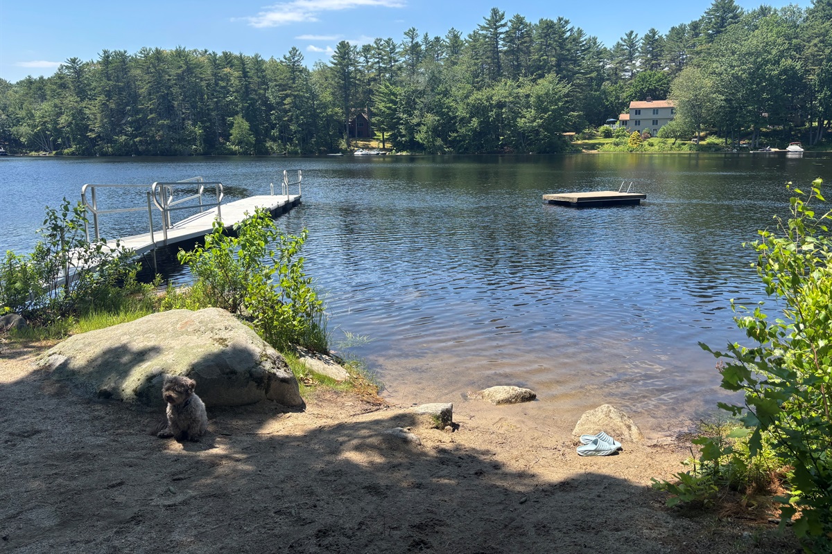 Waterfront with swim float and dock space for two boats