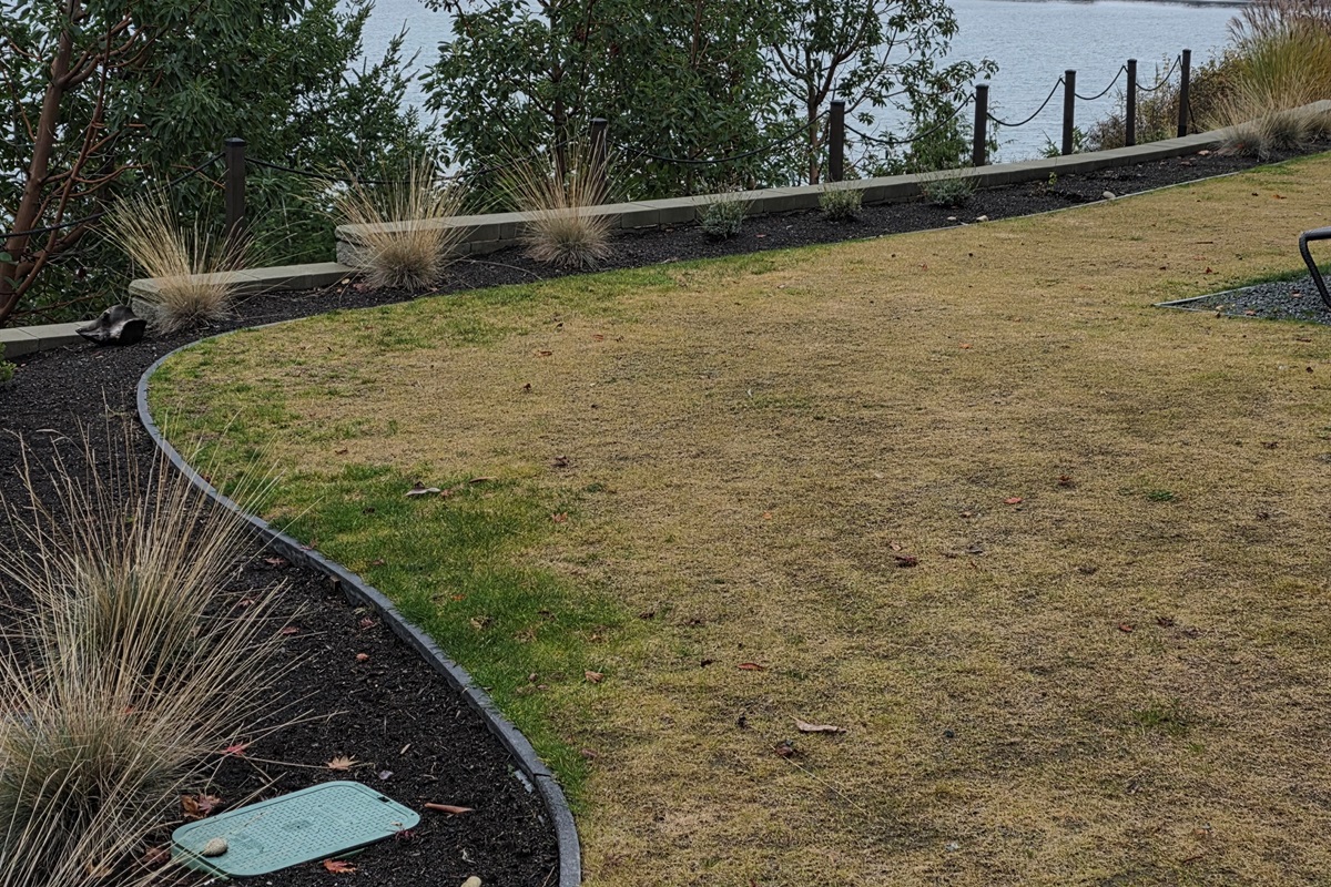 More captivating oceanviews.