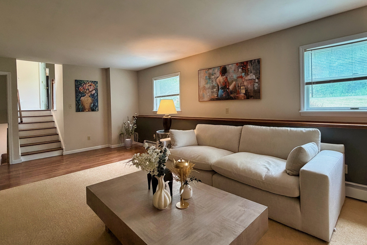 Lower level living room