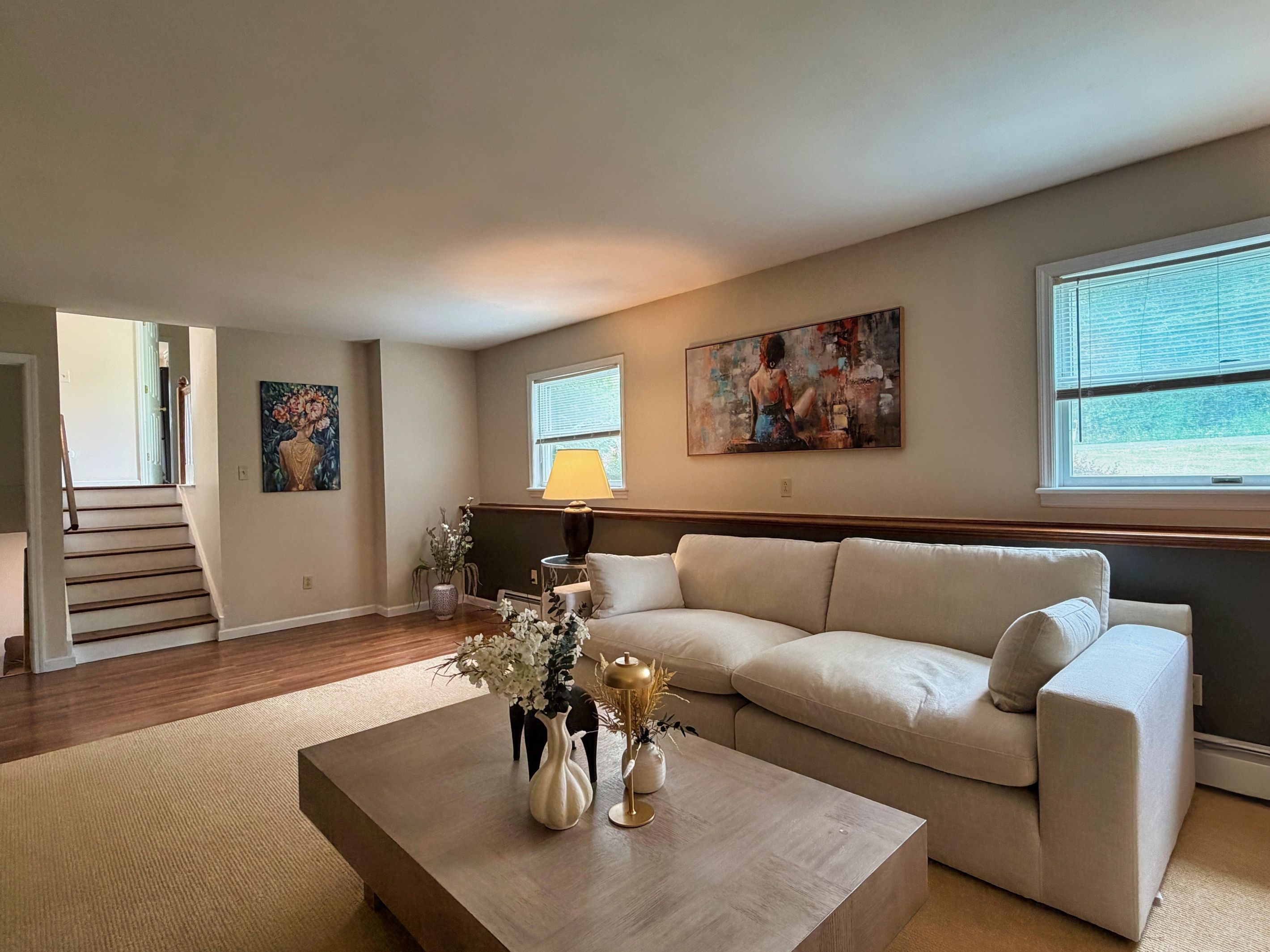 Lower level living room