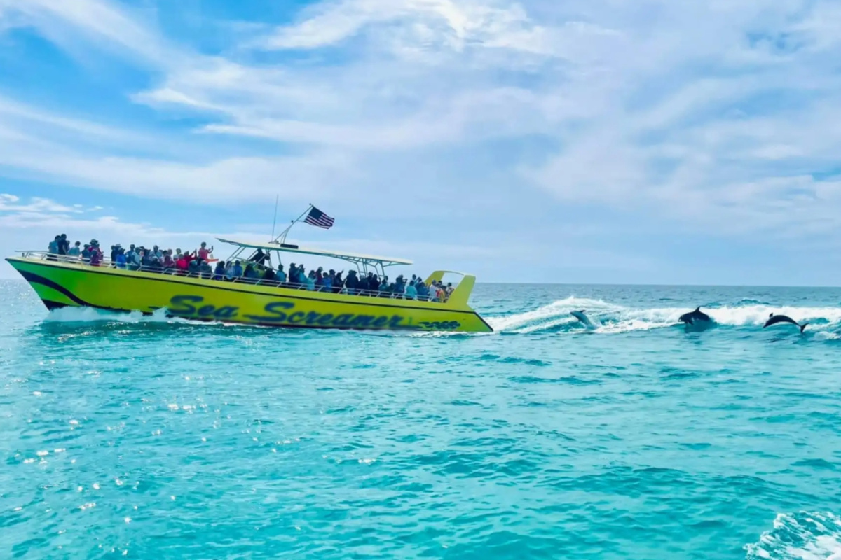 Sea Screamer Dolphin Tour - two of the best hours spent in PCB
