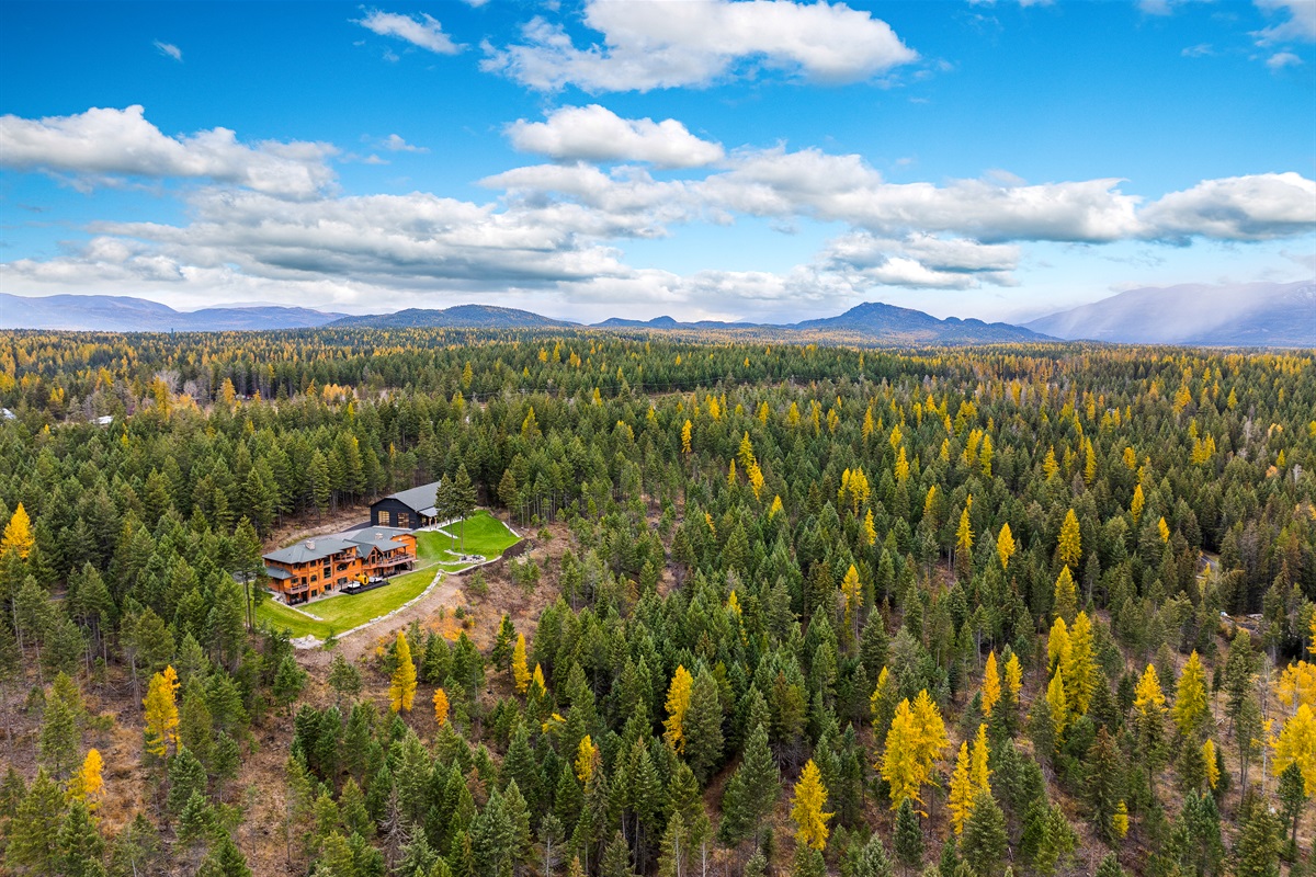 Hidden in the trees, yet close to everything.