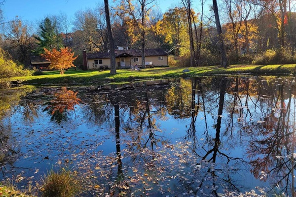 Backyard pond in the fall. That white door pictured enters into the kitchen.

Amazing for a relaxing stroll or sitting on one of our lawn chairs with a nice book or glass of wine.