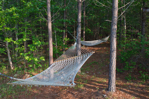 Relax in the hammocks tucked into the trees along the private acreage.