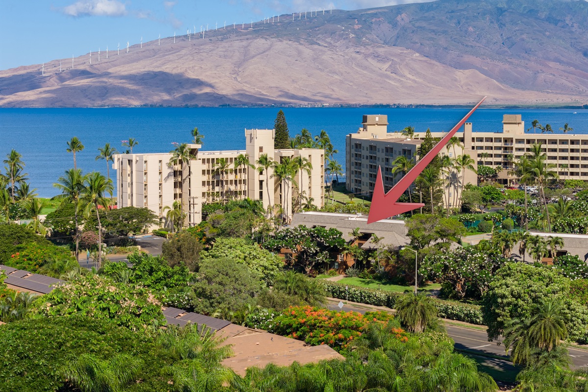 Koa Resort