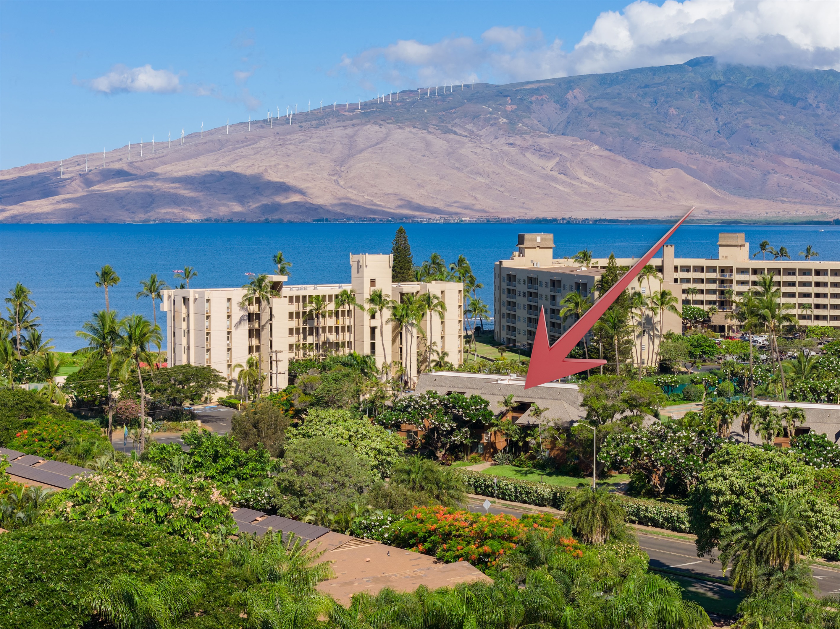 Koa Resort