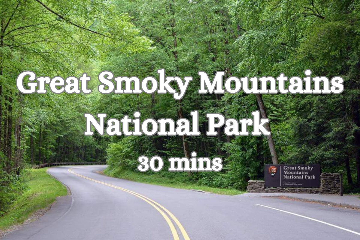 Local Adventure Awaits: Explore the stunning Great Smoky Mountains just 30 minutes away!