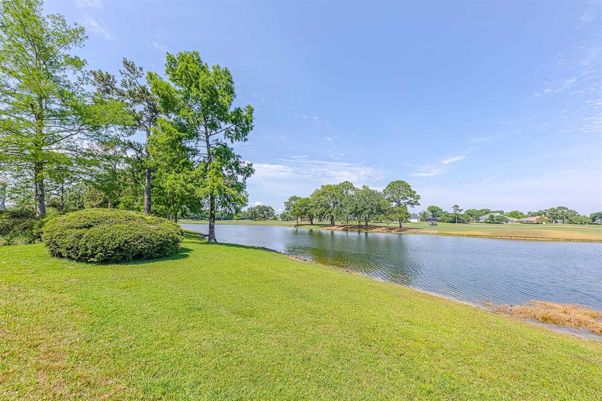 Scenic View: Unwind by the shimmering lake, surrounded by lush greenery and sunny skies!