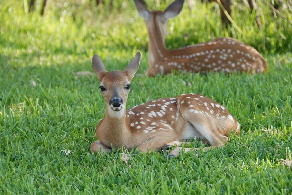 Nature is everywhere out here!