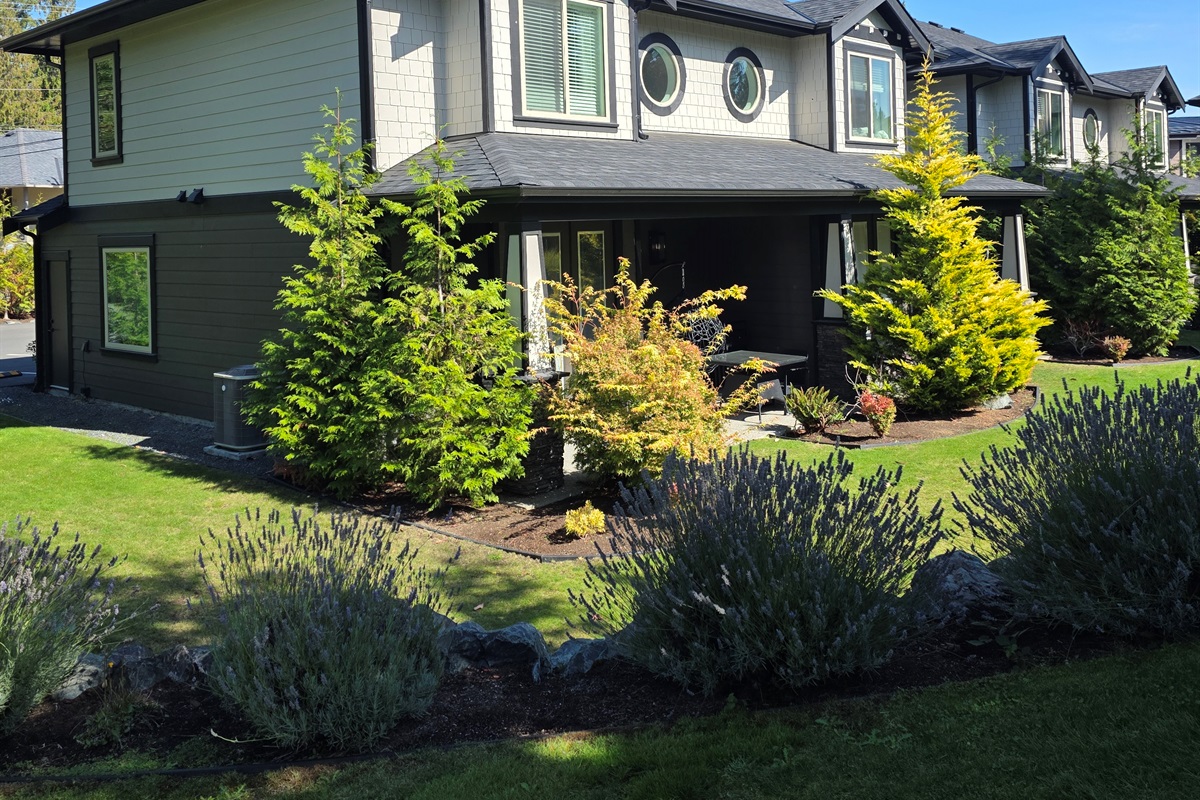 Beautiful Backyard. Green space.