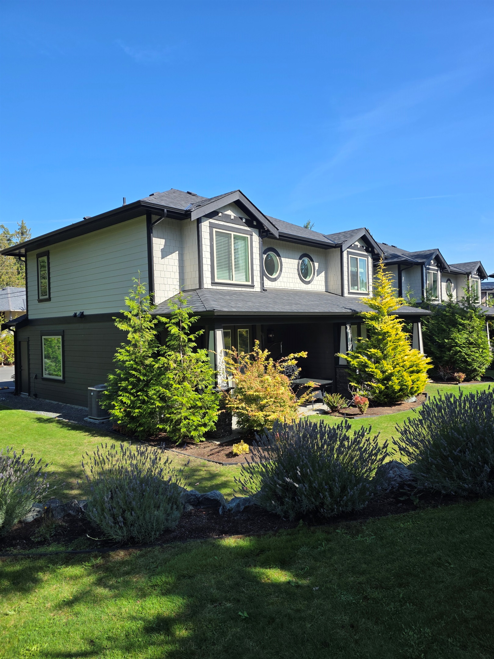 Beautiful Backyard. Green space.