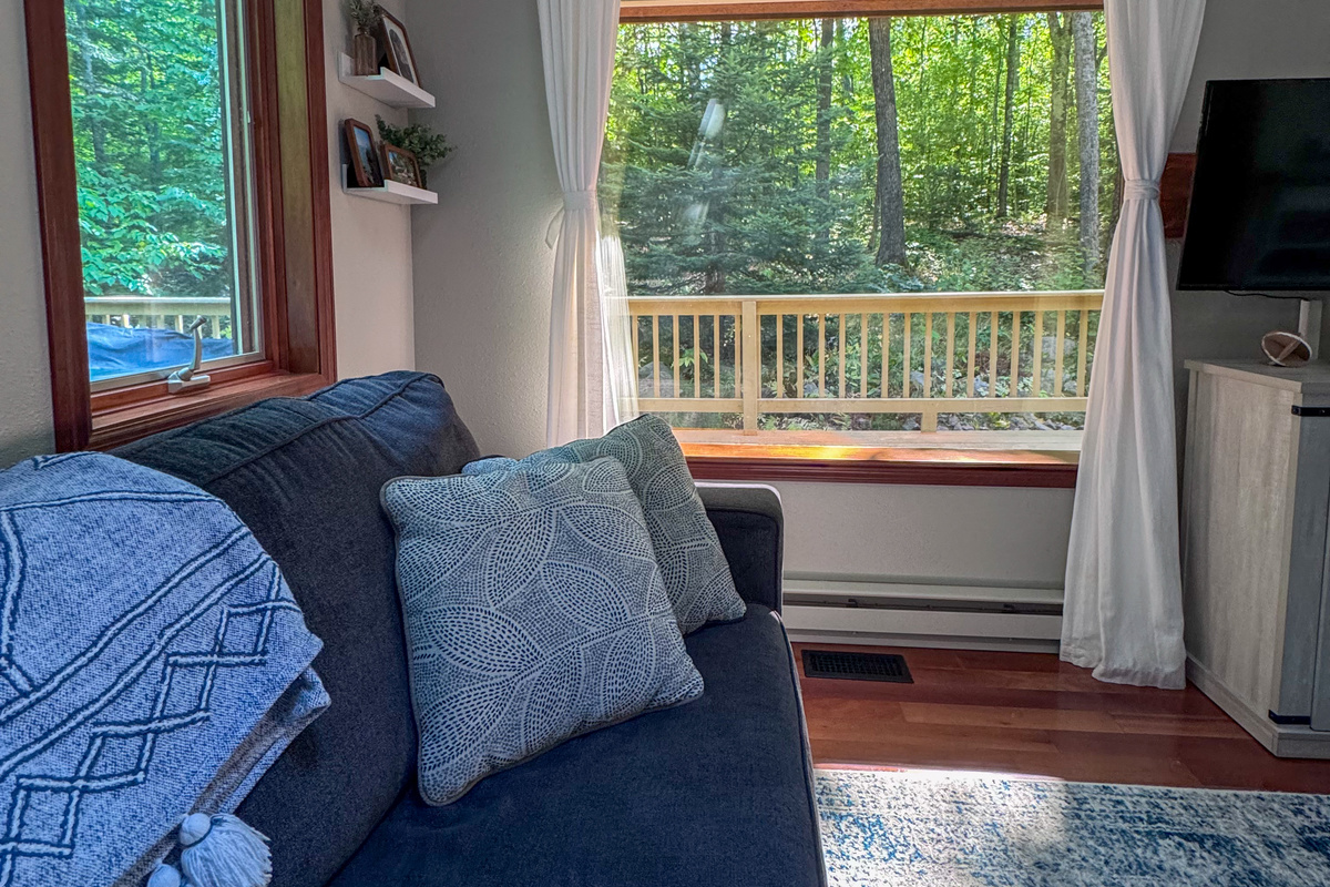 View from couch out one of the two huge panoramic mirror reflective widows of the woods