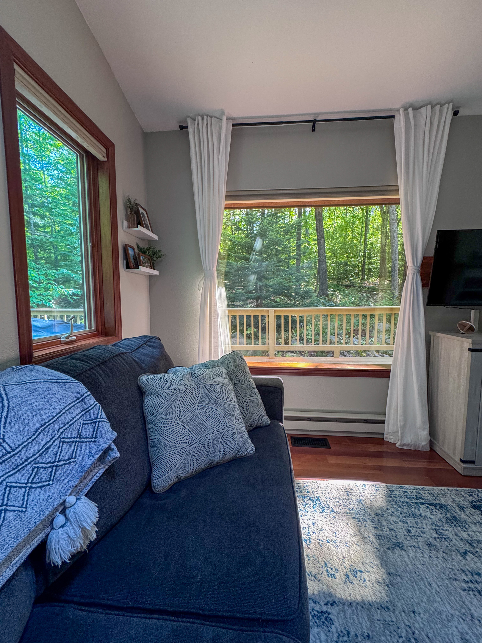 View from couch out one of the two huge panoramic mirror reflective widows of the woods
