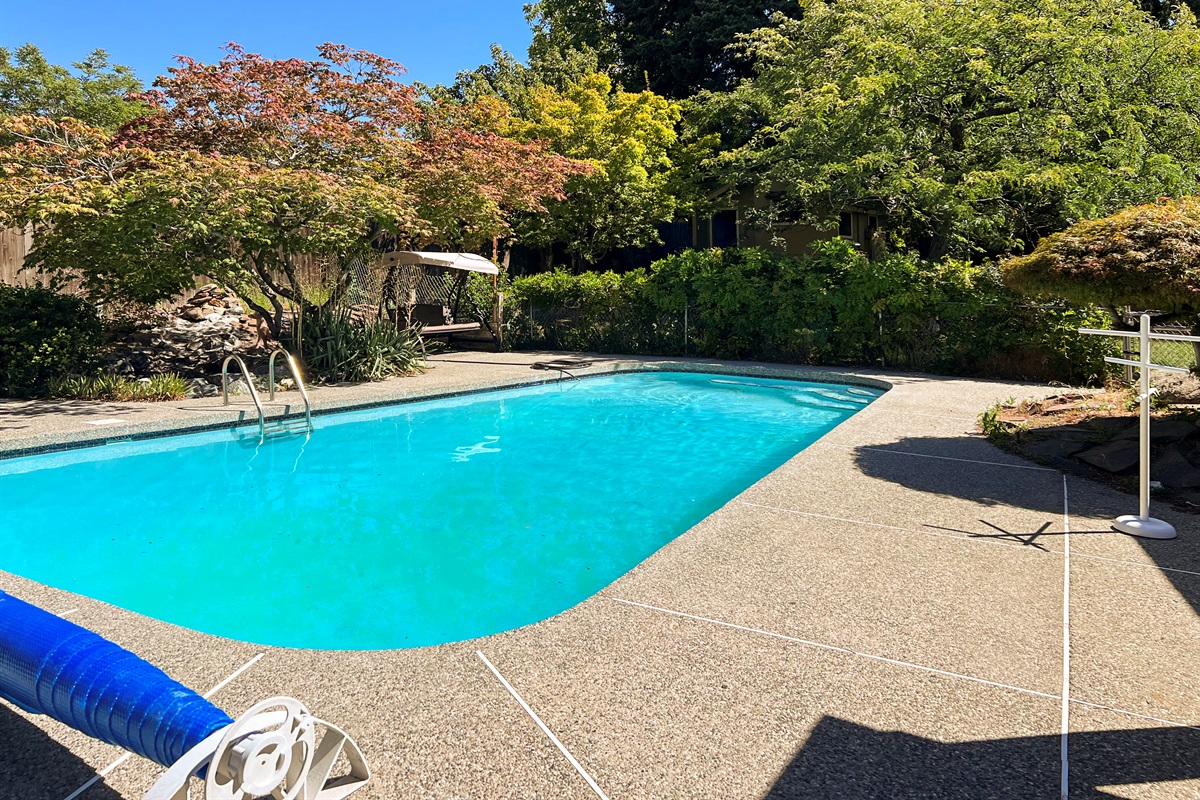 In ground swimming pool in private backyard.