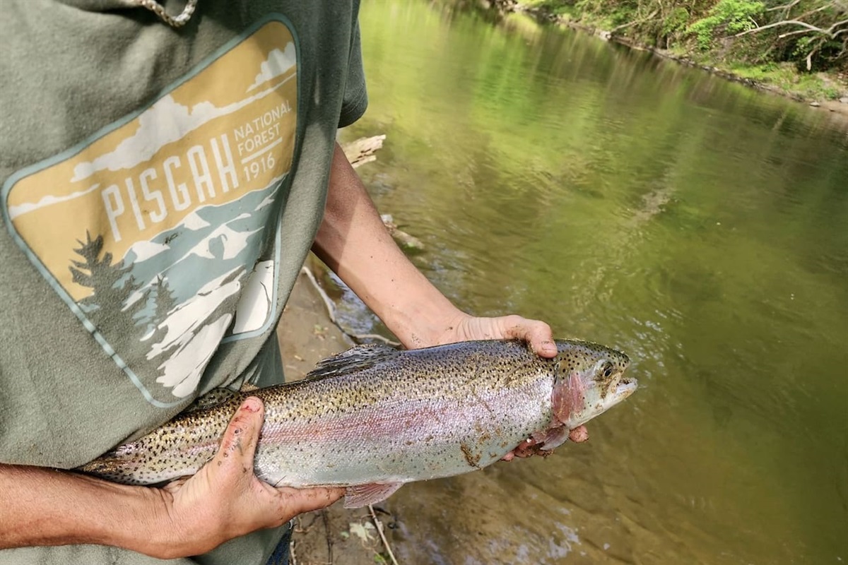 Fishing in Spring Creek