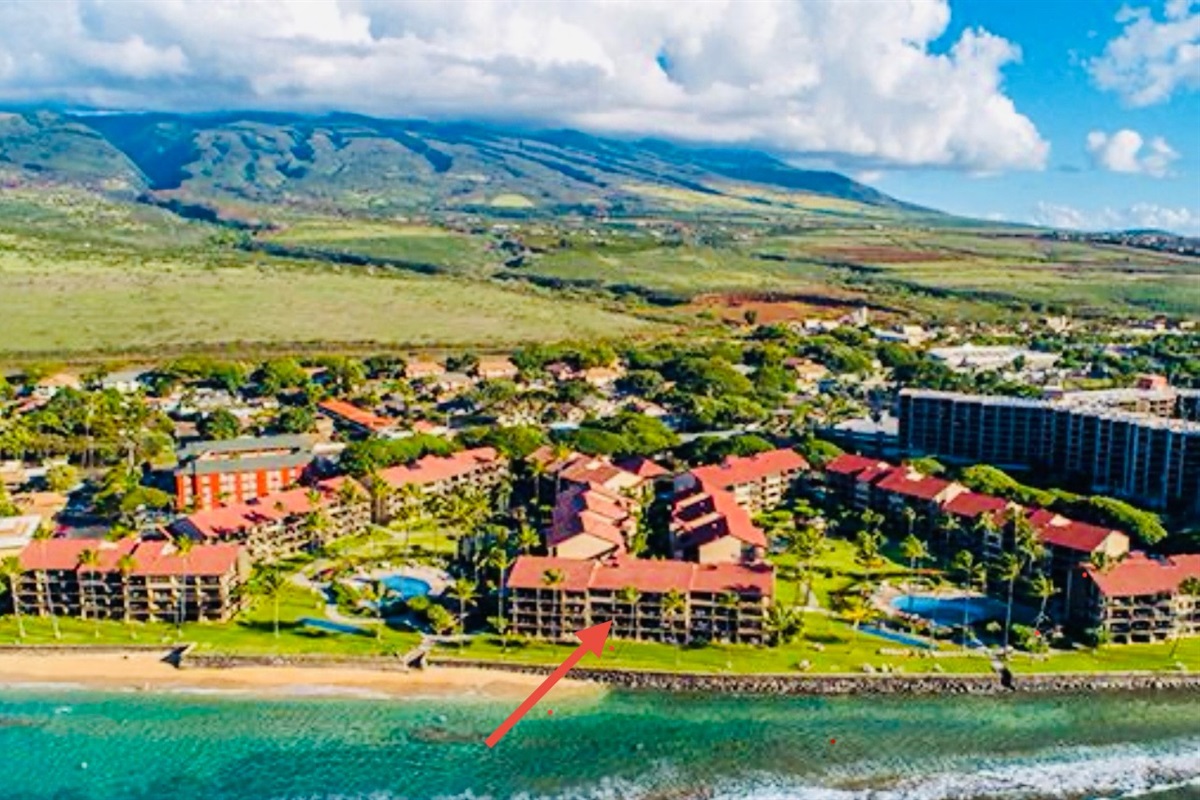 Your (F building) address: oceanfront and center stage