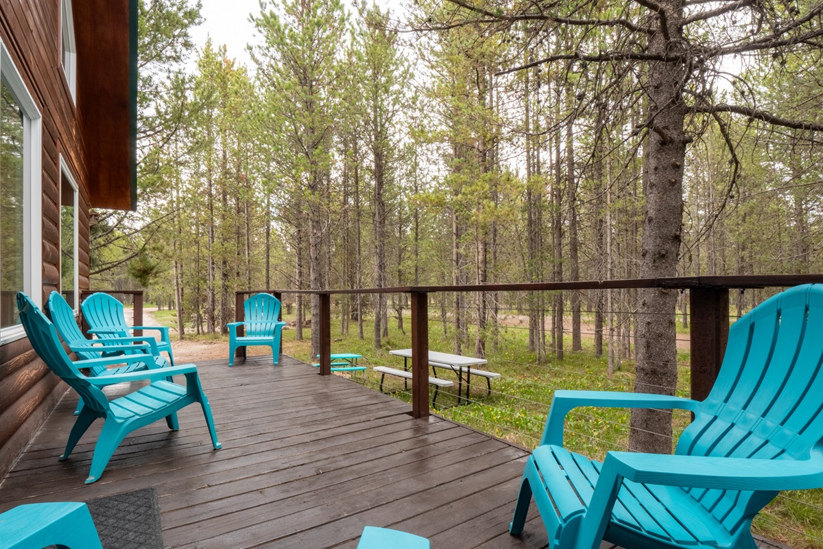 Front Deck and Picnic Area