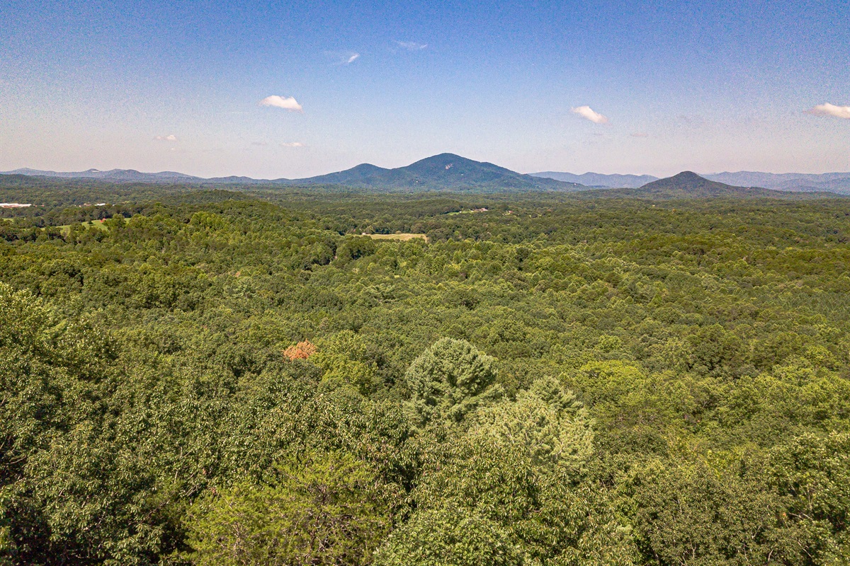 Arial View of Sesonal Mountain View