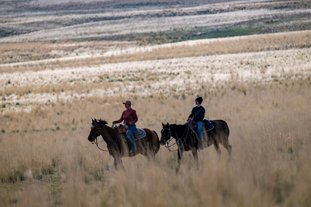 Discover Ogden Valley's western charm with scenic horseback riding adventures nearby.