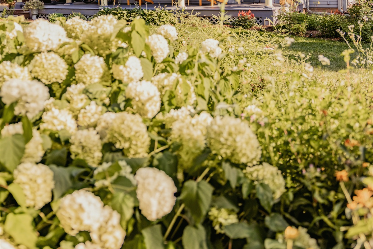 Enjoy vibrant blooms and peaceful garden paths, perfect for a relaxing stroll or morning coffee outdoors