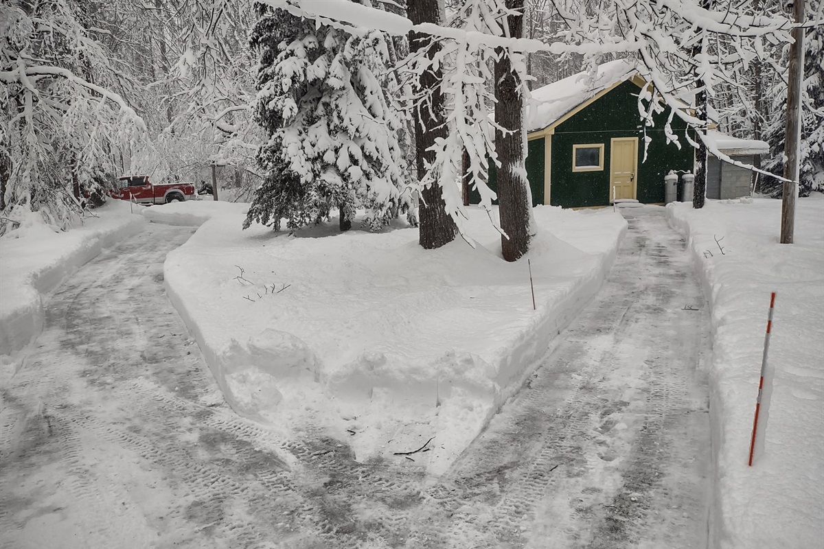 Looking out the front door