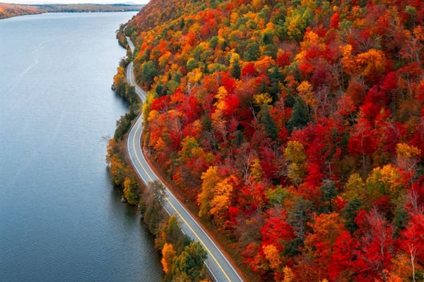 Breathtaking foliage of Vermont's Northeast Kingdom!